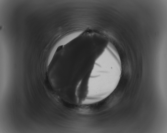 X0000084580214200703231850