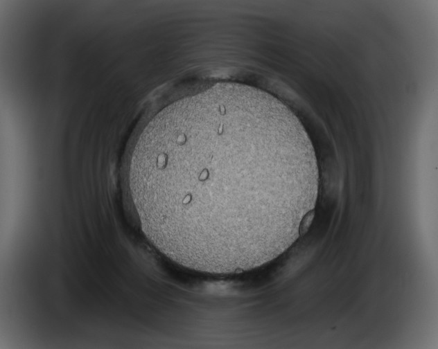 X0000084580216200703231850