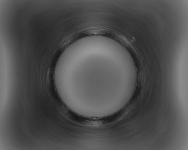 X0000084580217200703231850