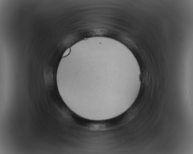 X0000084580220200703231850