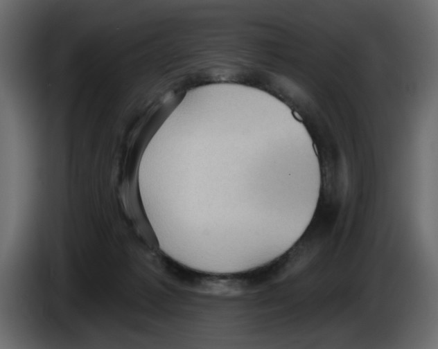 X0000084580221200703231850