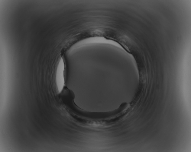 X0000084580223200703231850