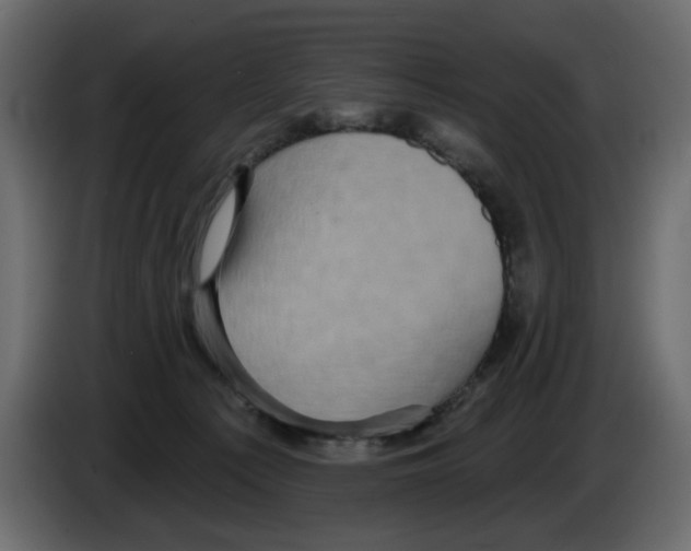 X0000084580225200703231850