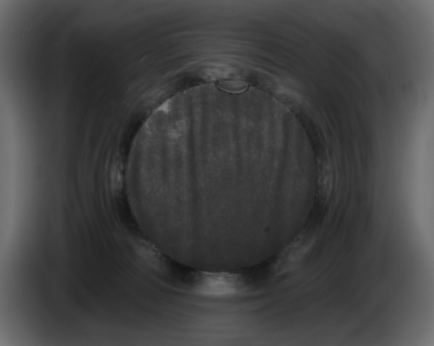 X0000084580226200703231850