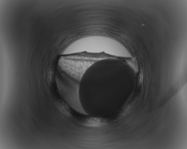X0000084580227200703231850