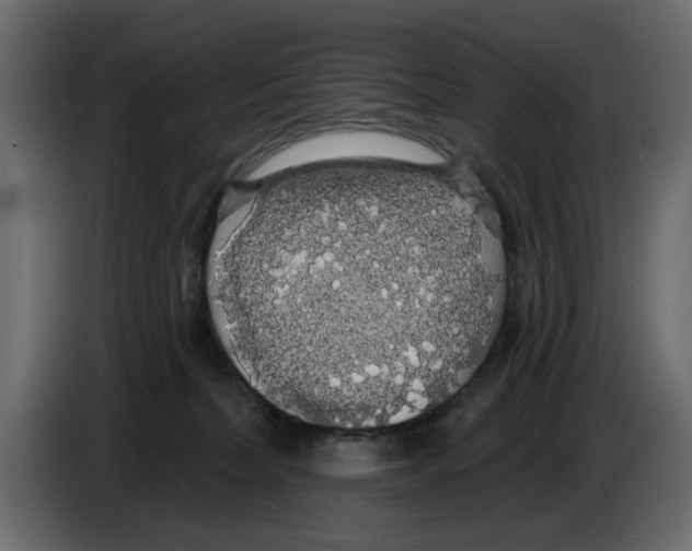 X0000084580228200703231850