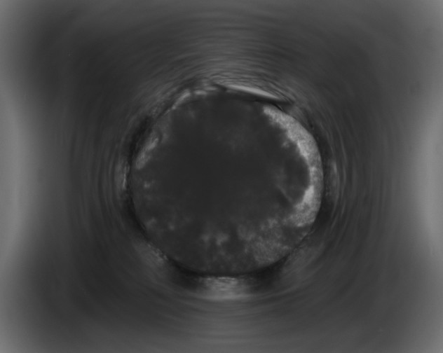 X0000084580230200703231850