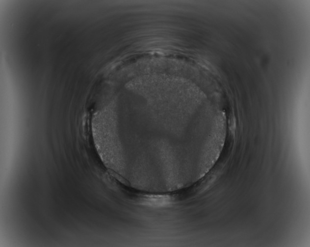 X0000084580233200703231850