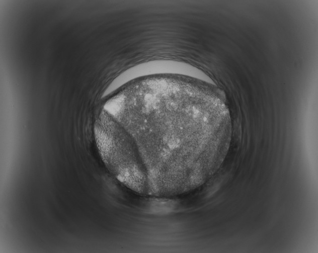 X0000084580234200703231850