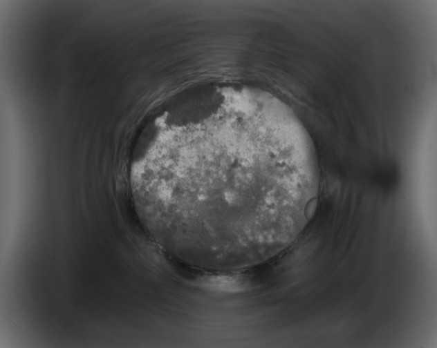 X0000084580236200703231850