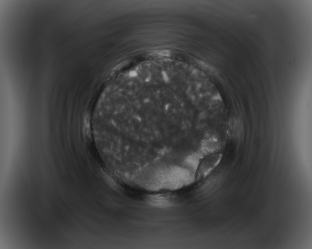 X0000084580238200703231850