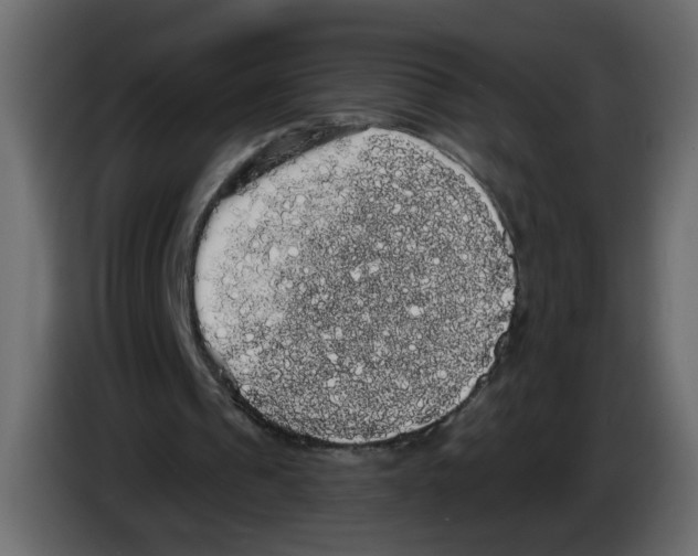 X0000084580241200703231849