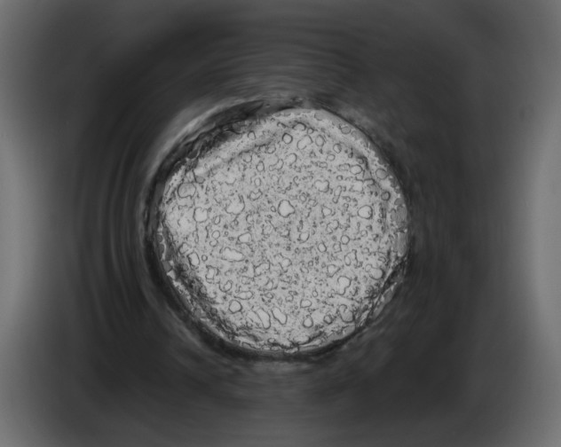 X0000084580242200703231849