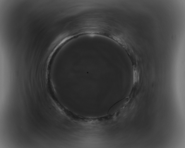 X0000084580243200703231849