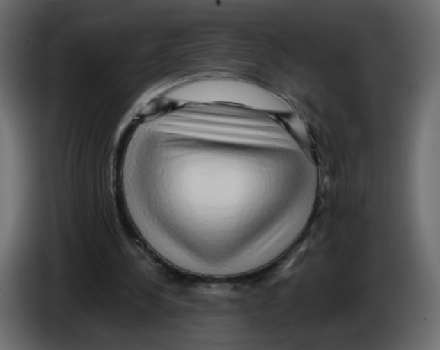 X0000084580244200703231849