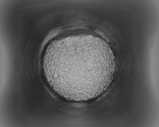 X0000084580245200703231849