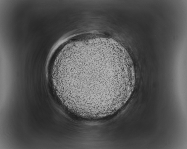 X0000084580246200703231849