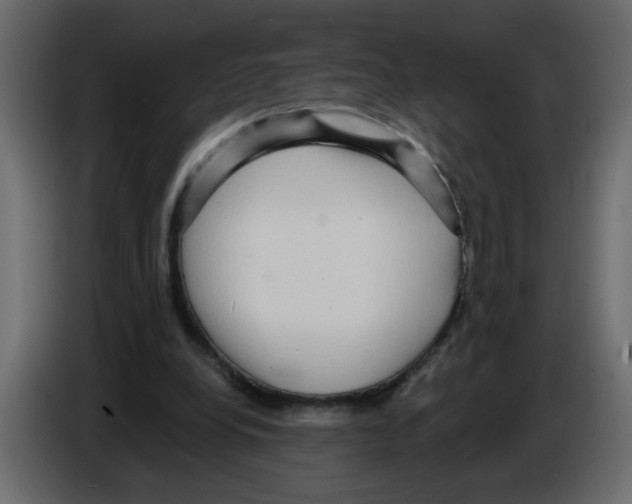 X0000084580248200703231849