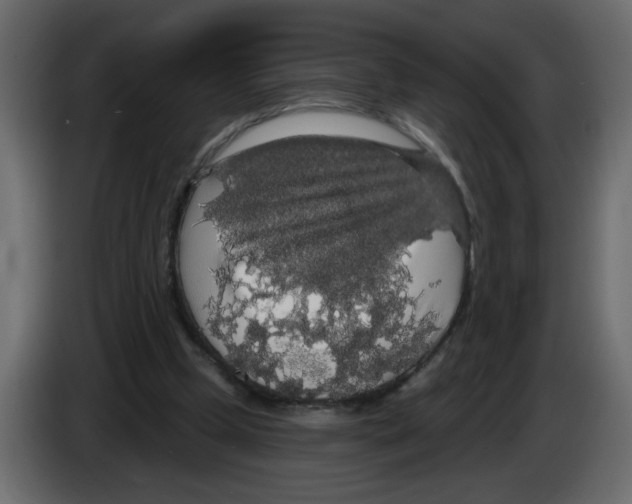 X0000084580249200703231849