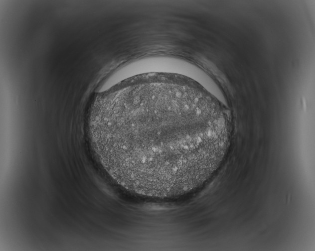 X0000084580250200703231849