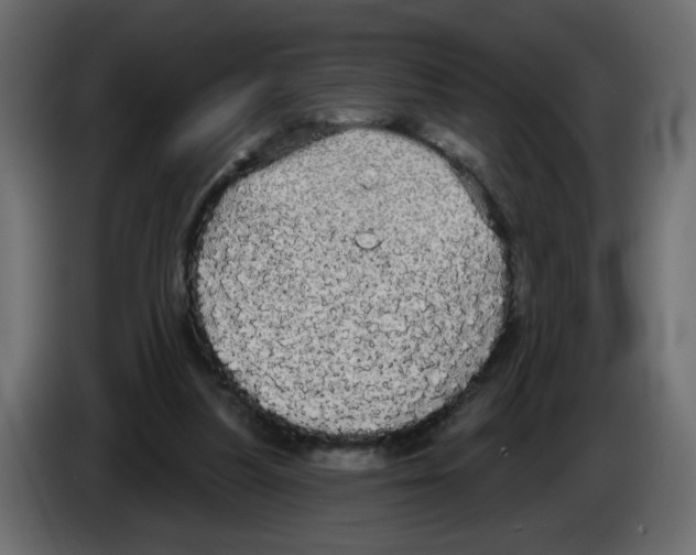 X0000084580251200703231849
