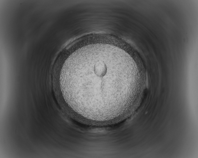 X0000084580252200703231849