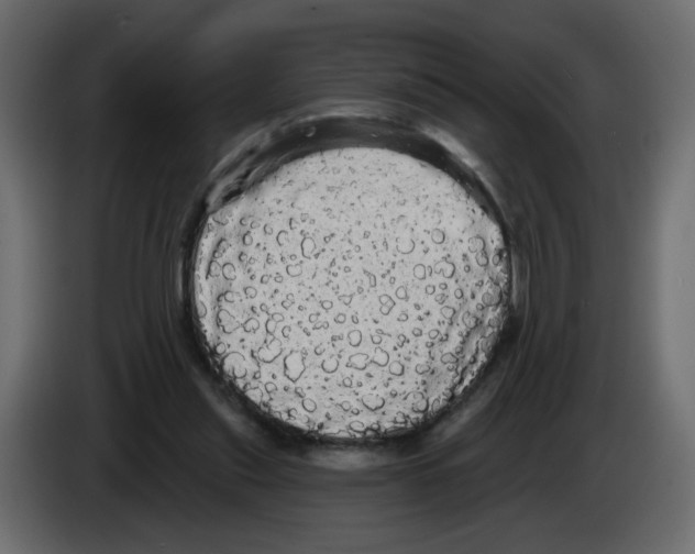X0000084580253200703231849