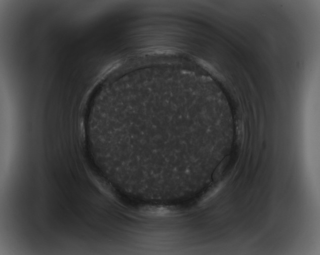 X0000084580254200703231849