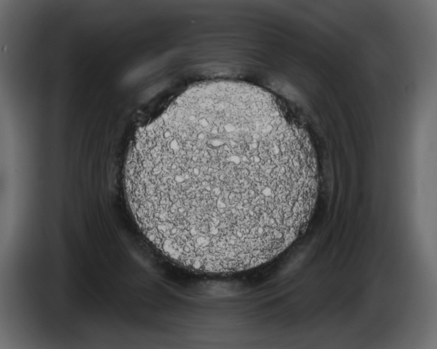 X0000084580255200703231849