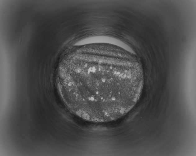 X0000084580258200703231849