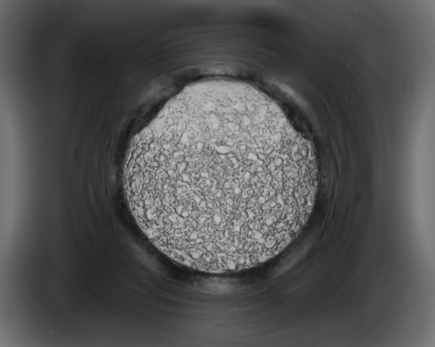 X0000084580261200703231849