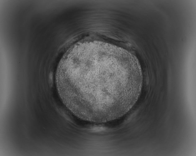 X0000084580262200703231849