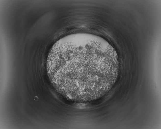X0000084580265200703231850