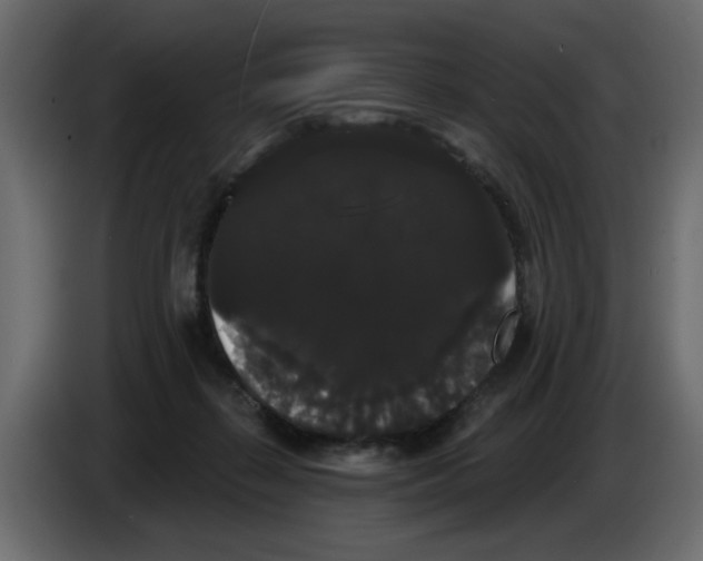 X0000084580267200703231850