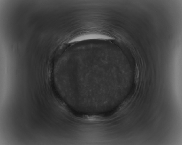 X0000084580268200703231850