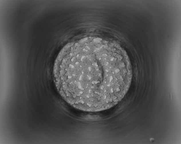 X0000084580270200703231850