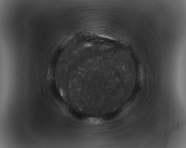 X0000084580272200703231850