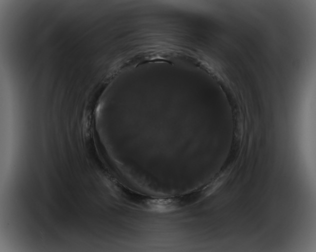 X0000084580273200703231850