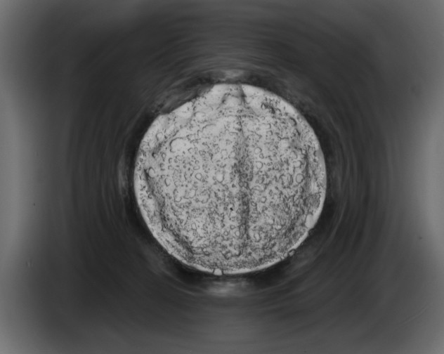 X0000084580274200703231850