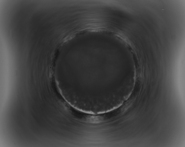 X0000084580277200703231850