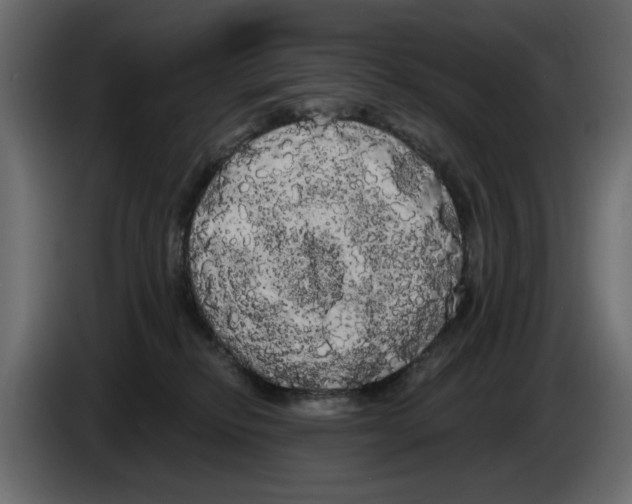 X0000084580278200703231850