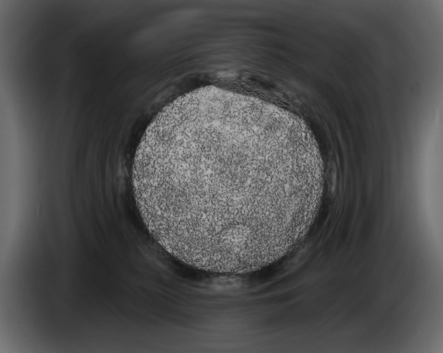 X0000084580279200703231850