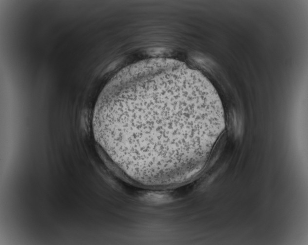 X0000084580280200703231850