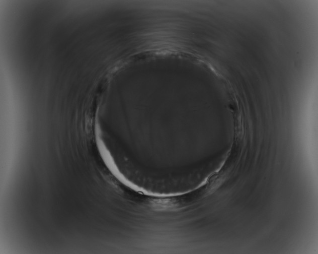 X0000084580281200703231850