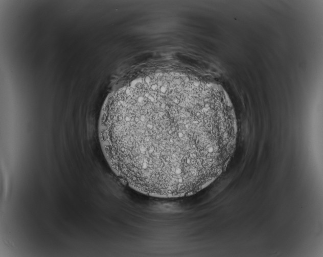 X0000084580283200703231850