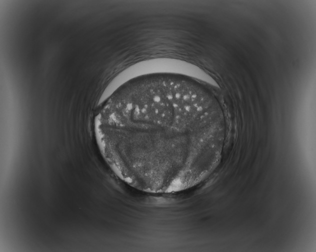 X0000084580286200703231850