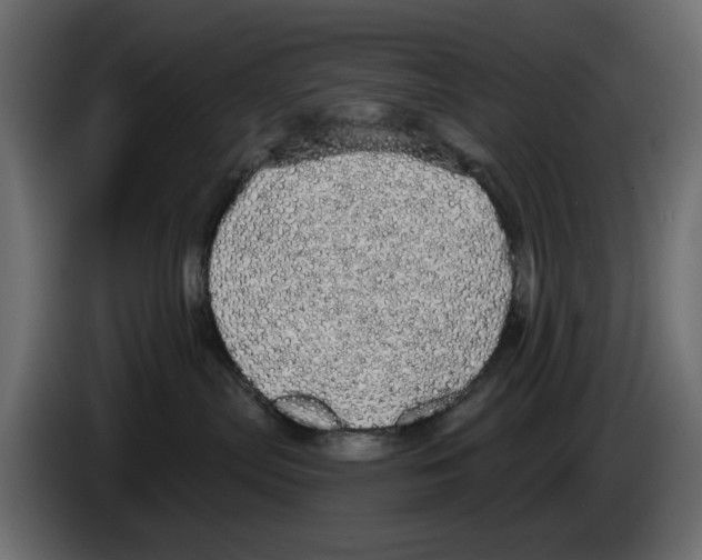 X0000084580287200703231850
