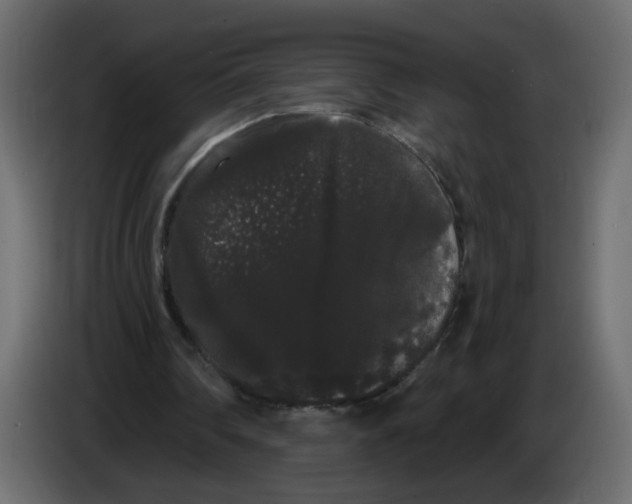 X0000084580290200703231849