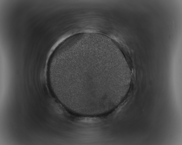 X0000084580292200703231849