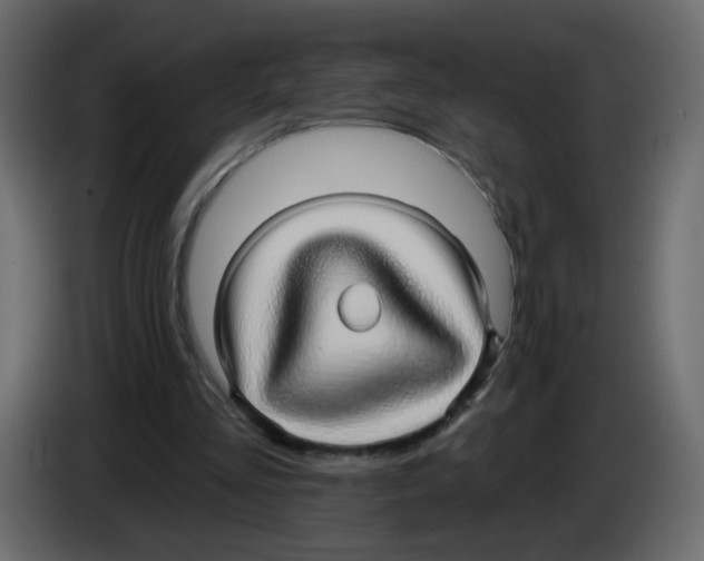 X0000084580293200703231849